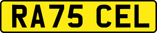 RA75CEL