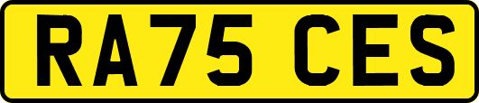 RA75CES