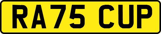 RA75CUP