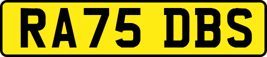 RA75DBS