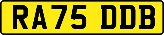 RA75DDB