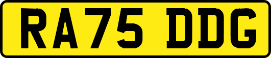 RA75DDG