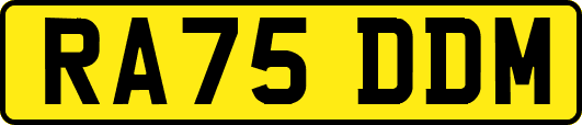 RA75DDM