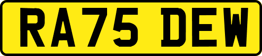 RA75DEW
