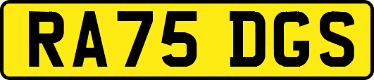 RA75DGS