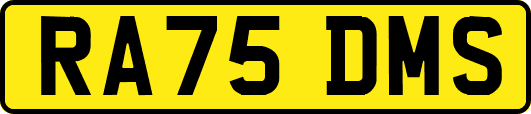 RA75DMS