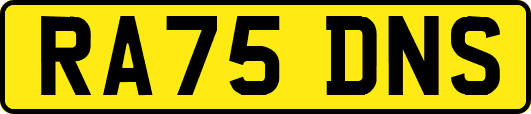 RA75DNS