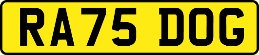 RA75DOG