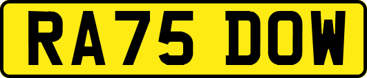 RA75DOW