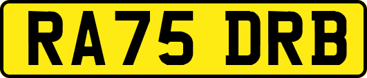 RA75DRB