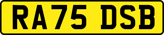 RA75DSB