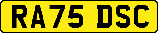 RA75DSC