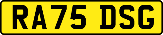 RA75DSG