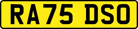 RA75DSO