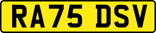 RA75DSV