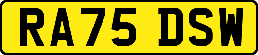 RA75DSW
