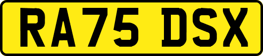 RA75DSX