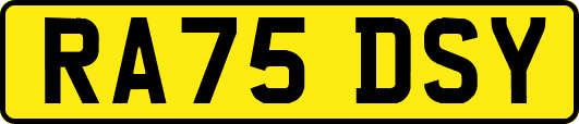 RA75DSY