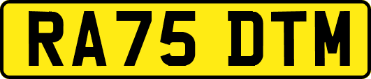 RA75DTM