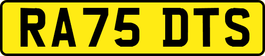 RA75DTS