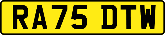 RA75DTW