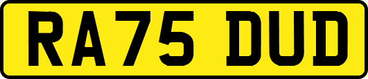 RA75DUD