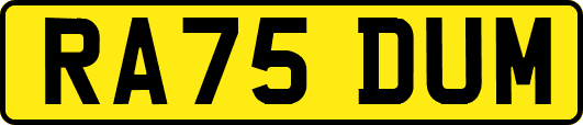 RA75DUM