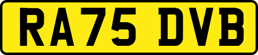 RA75DVB