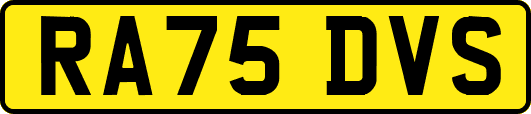RA75DVS
