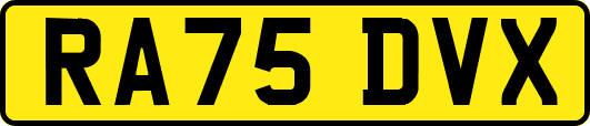 RA75DVX