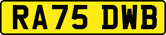 RA75DWB