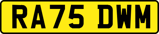 RA75DWM