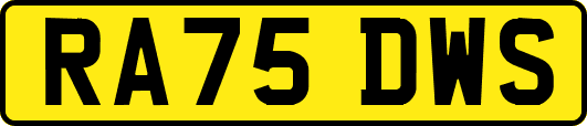 RA75DWS