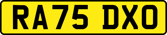 RA75DXO