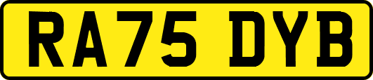 RA75DYB