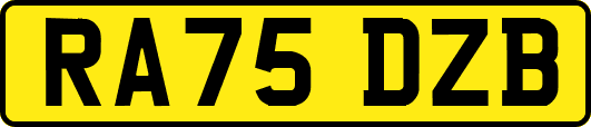 RA75DZB