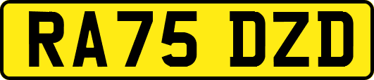 RA75DZD