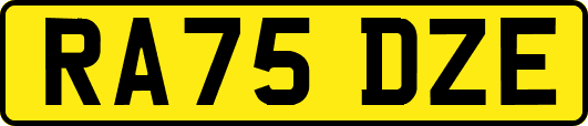 RA75DZE