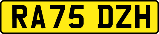 RA75DZH