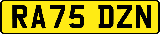 RA75DZN