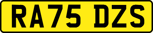 RA75DZS