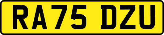 RA75DZU