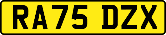 RA75DZX