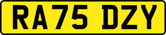 RA75DZY