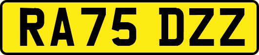 RA75DZZ