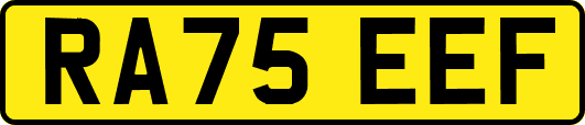 RA75EEF