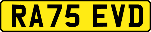 RA75EVD