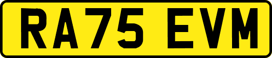 RA75EVM