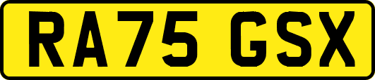 RA75GSX