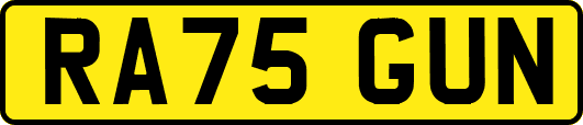 RA75GUN